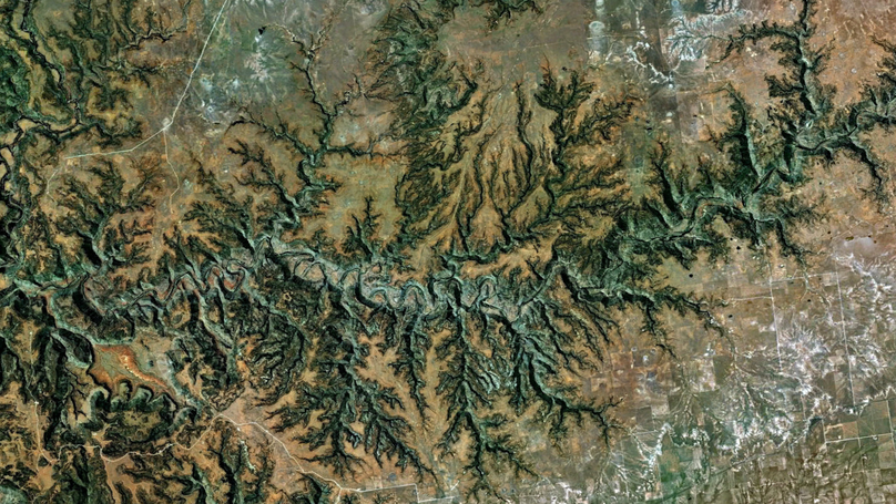 Mathematics of beauty: How does nature shape river networks?